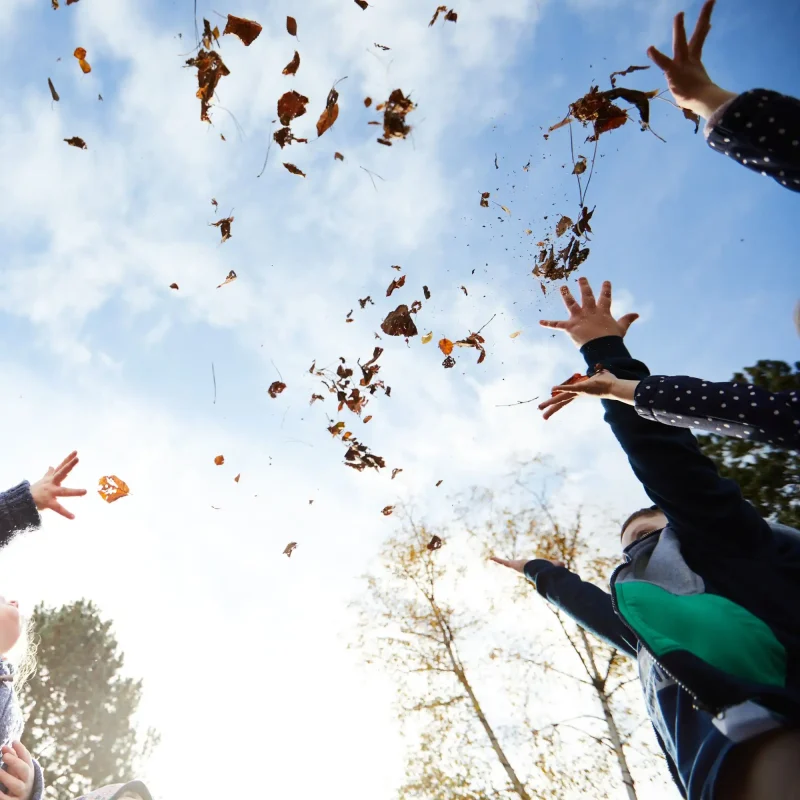 Kinder die Blätter in die Luft werfen