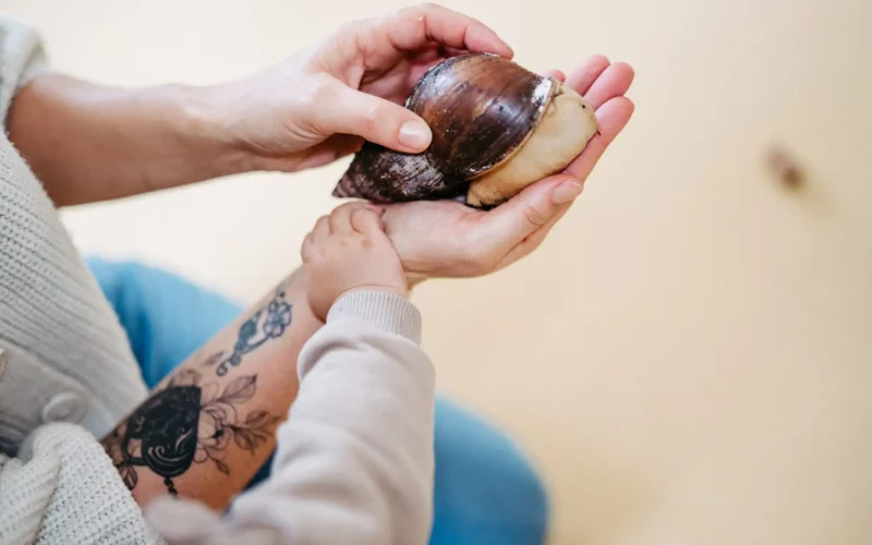 Muschel wird von jungen und älteren Händen gehalten