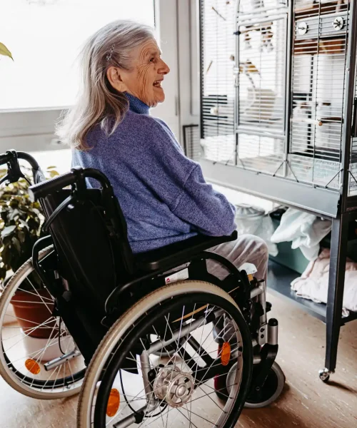 Seniorin im Rollstuhl vor einem Vogelkäfig